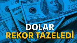Dolar rekor tazeledi